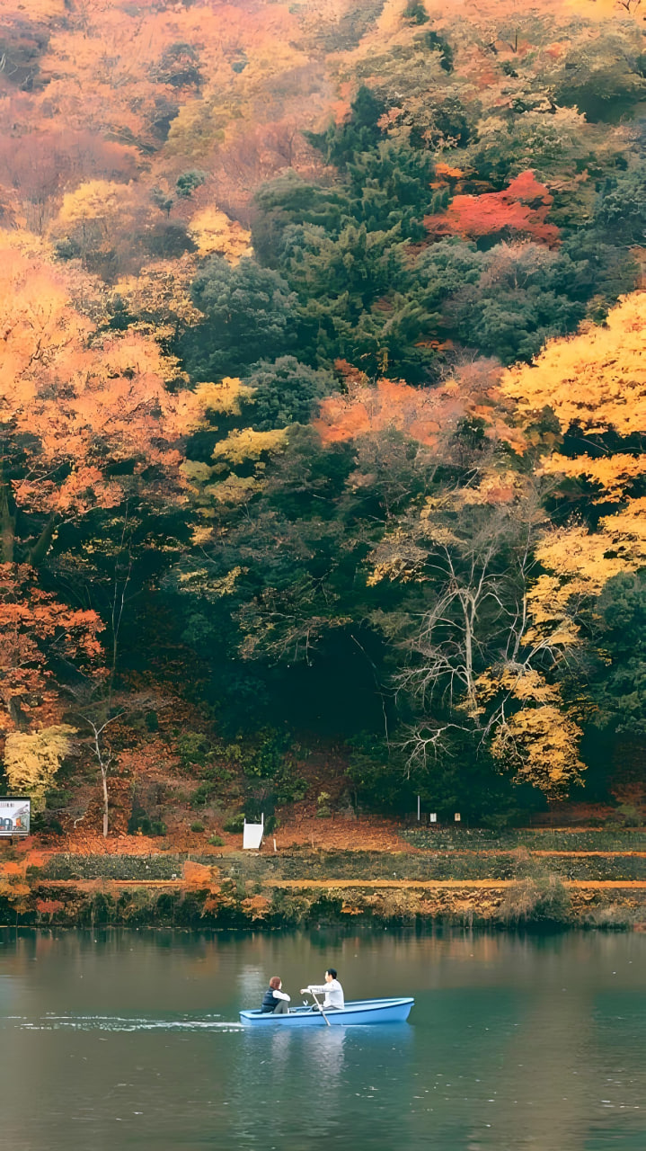 日剧4